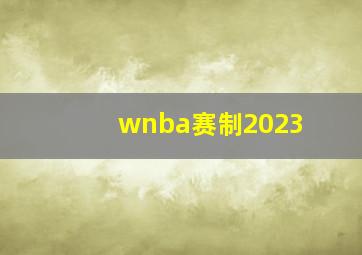 wnba赛制2023