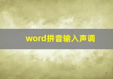 word拼音输入声调