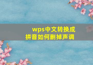 wps中文转换成拼音如何删掉声调