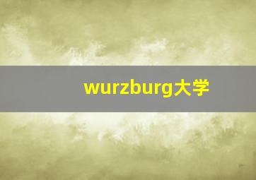 wurzburg大学