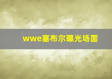 wwe塞布尔曝光场面