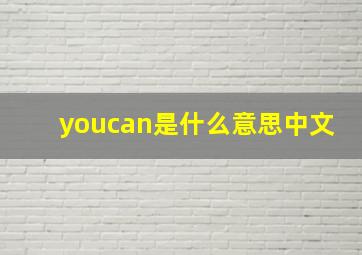 youcan是什么意思中文