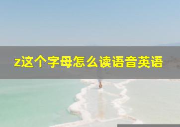 z这个字母怎么读语音英语