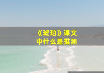 《琥珀》课文中什么是推测