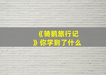 《骑鹅旅行记》你学到了什么