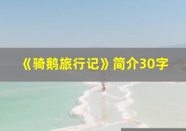 《骑鹅旅行记》简介30字