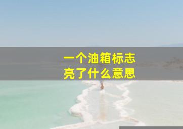 一个油箱标志亮了什么意思