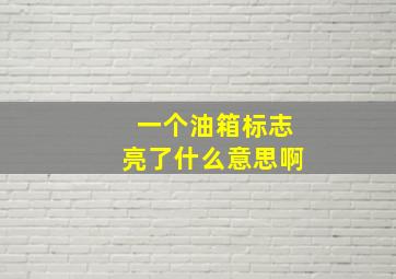 一个油箱标志亮了什么意思啊