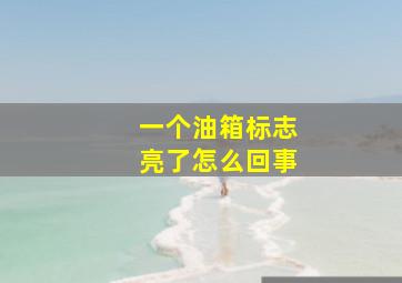 一个油箱标志亮了怎么回事