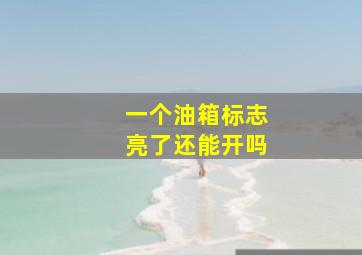 一个油箱标志亮了还能开吗