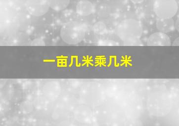 一亩几米乘几米