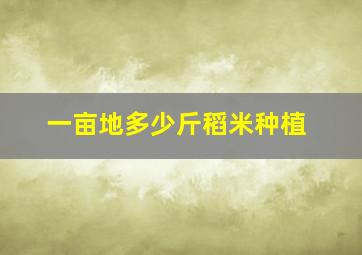 一亩地多少斤稻米种植