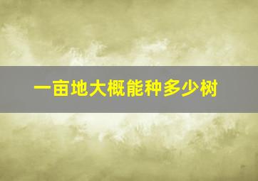 一亩地大概能种多少树