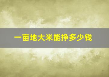 一亩地大米能挣多少钱