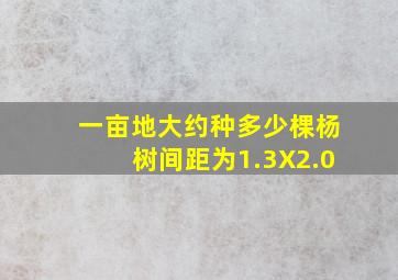 一亩地大约种多少棵杨树间距为1.3X2.0