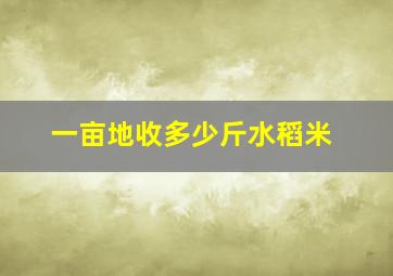 一亩地收多少斤水稻米