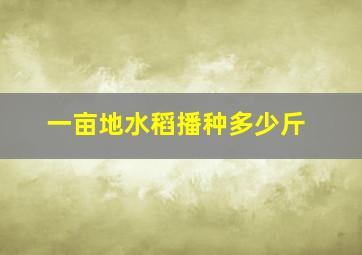 一亩地水稻播种多少斤