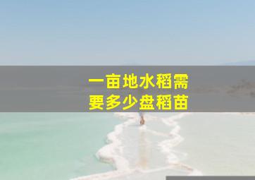 一亩地水稻需要多少盘稻苗