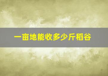 一亩地能收多少斤稻谷