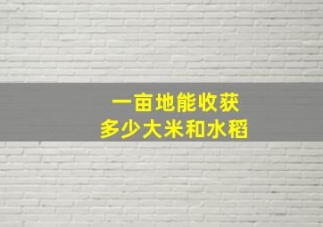 一亩地能收获多少大米和水稻