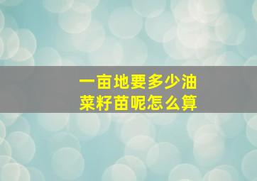 一亩地要多少油菜籽苗呢怎么算