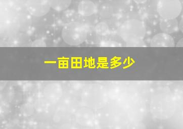 一亩田地是多少