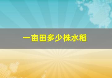 一亩田多少株水稻