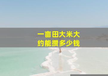 一亩田大米大约能攒多少钱