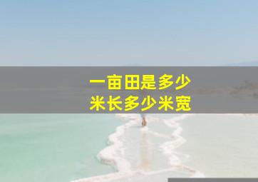 一亩田是多少米长多少米宽