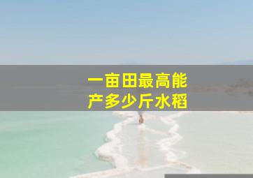 一亩田最高能产多少斤水稻