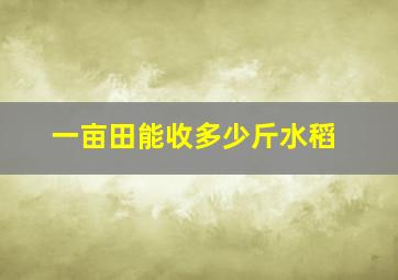 一亩田能收多少斤水稻