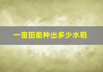 一亩田能种出多少水稻