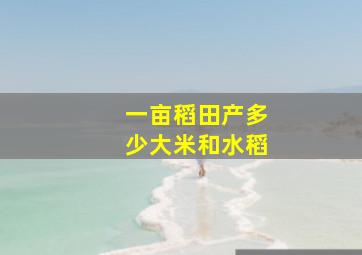 一亩稻田产多少大米和水稻