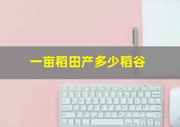 一亩稻田产多少稻谷