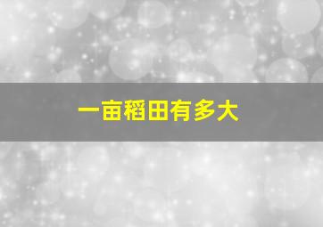 一亩稻田有多大