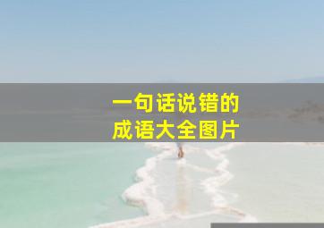 一句话说错的成语大全图片