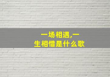 一场相遇,一生相惜是什么歌