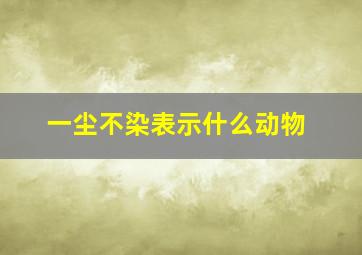 一尘不染表示什么动物