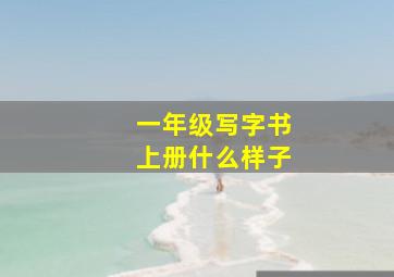 一年级写字书上册什么样子