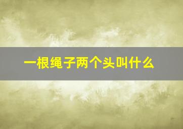 一根绳子两个头叫什么