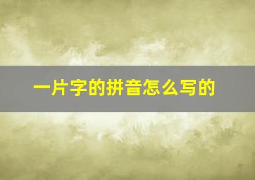 一片字的拼音怎么写的