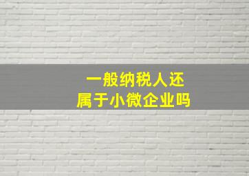 一般纳税人还属于小微企业吗