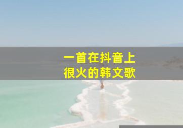 一首在抖音上很火的韩文歌