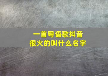 一首粤语歌抖音很火的叫什么名字