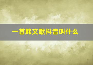 一首韩文歌抖音叫什么