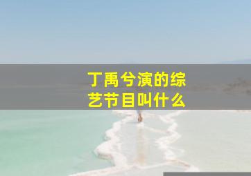 丁禹兮演的综艺节目叫什么