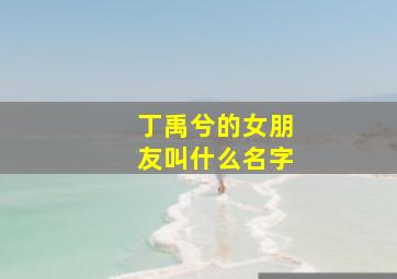 丁禹兮的女朋友叫什么名字