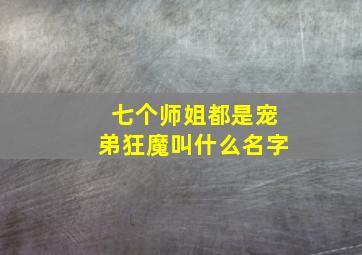 七个师姐都是宠弟狂魔叫什么名字