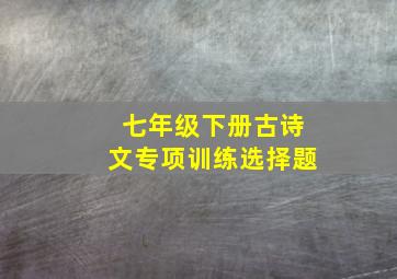 七年级下册古诗文专项训练选择题