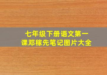 七年级下册语文第一课邓稼先笔记图片大全